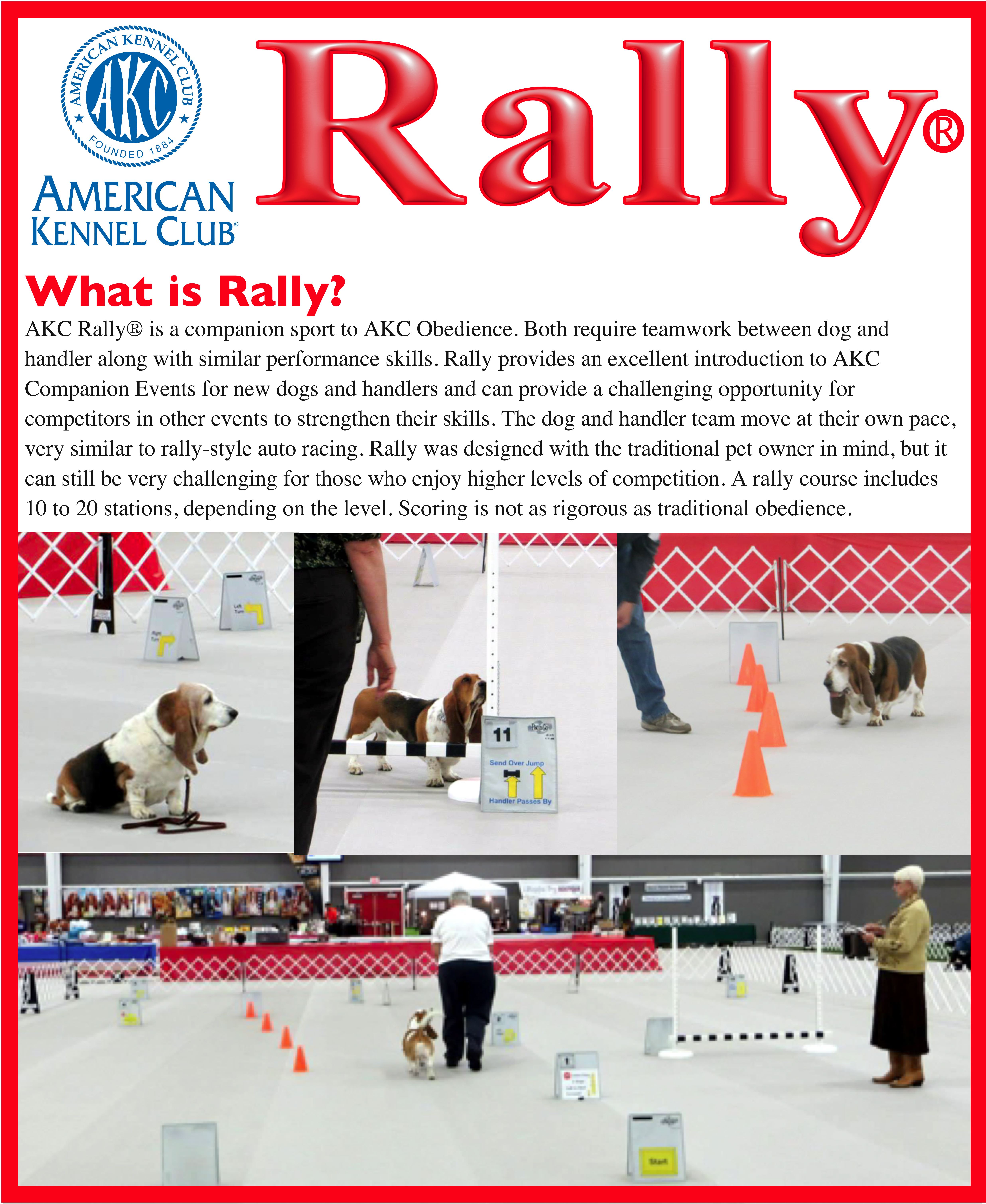 Rally Basset Hound Club of Southern California BHCSC
